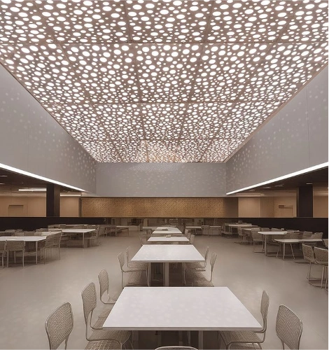 Premium perforated ceiling panels